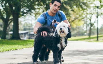 A man pets his happy dog at the park