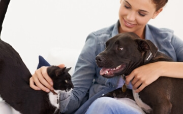A woman pets her dog and her cat | Healthy Habits For New Pets