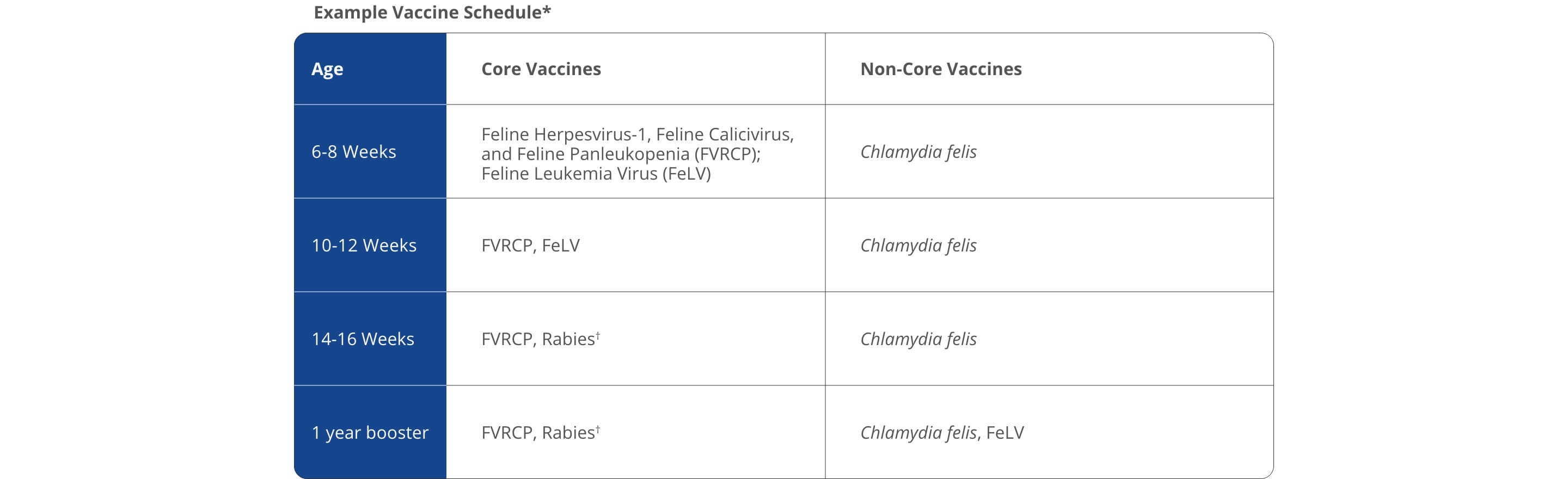 A chart showing an example of a vaccination schedule for cats. The chart shows that at 6-8 weeks of age, kittens require Feline Herpesvirus-1, Feline Calicivirus, and Feline Panleukopenia (FVRCP);Feline Leukemia Virus (FeLV), and Chlamydia felis. At 10-12 Weeks, they need FVRCP, FeLV, and Chlamydia felis. At 14-16 Weeks, they need FVRCP, Rabies†, and Chlamydia felis. At one year, they need FVRCP, Rabies†, Chlamydia felis, and FeLV | Healthy Habits For New Pets