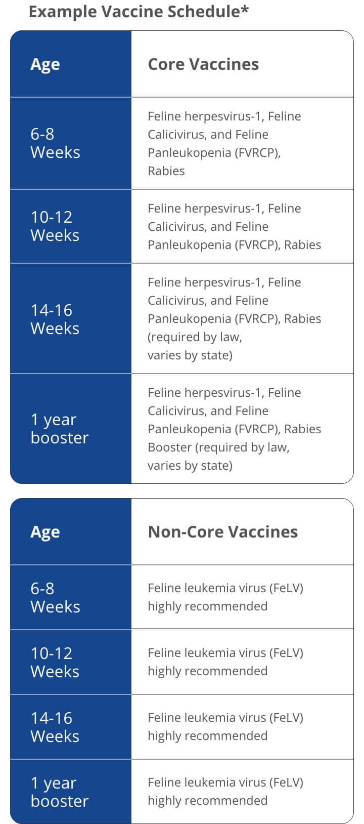 A chart showing an example of a vaccination schedule for cats. The chart shows that at 6-8 weeks of age, kittens require Feline Herpesvirus-1, Feline Calicivirus, and Feline Panleukopenia (FVRCP);Feline Leukemia Virus (FeLV), and Chlamydia felis. At 10-12 Weeks, they need FVRCP, FeLV, and Chlamydia felis. At 14-16 Weeks, they need FVRCP, Rabies†, and Chlamydia felis. At one year, they need FVRCP, Rabies†, Chlamydia felis, and FeLV  | Healthy Habits For New Pets